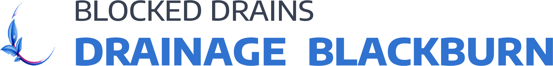 website logo